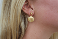 Shell Earrings